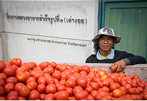 บริษัทดอยคำผลิตภัณฑ์ อาหาร จำกัด